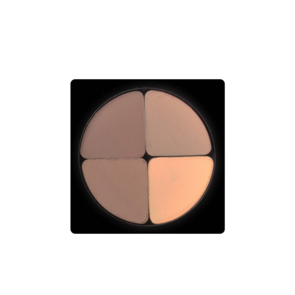 سایه چهار رنگ کریستال SHALL COIN کد 601